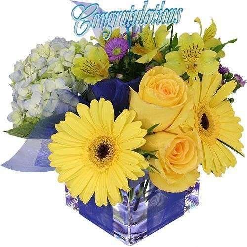 ¡Felicidades!