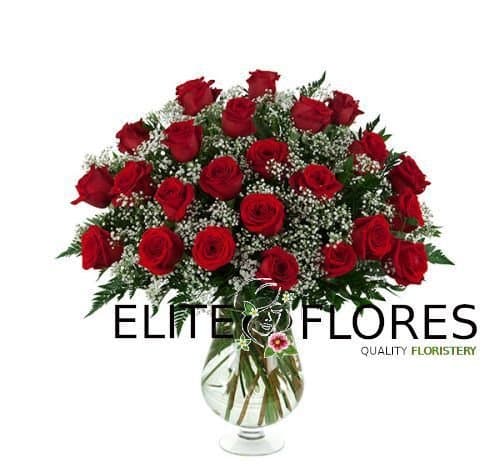 24 Rosa roja