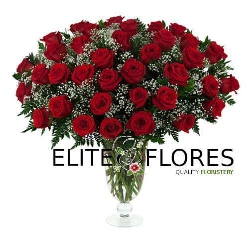 36 Rosa roja
