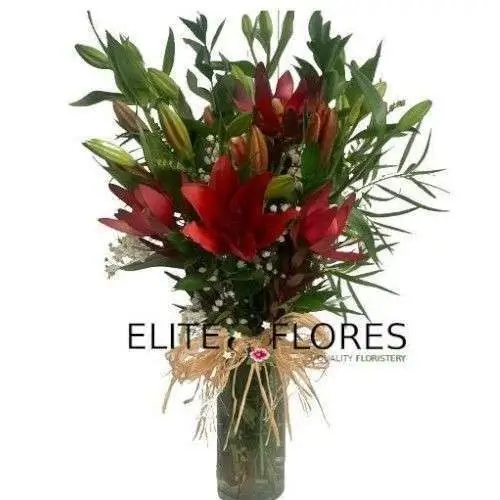 Lilium Rojos