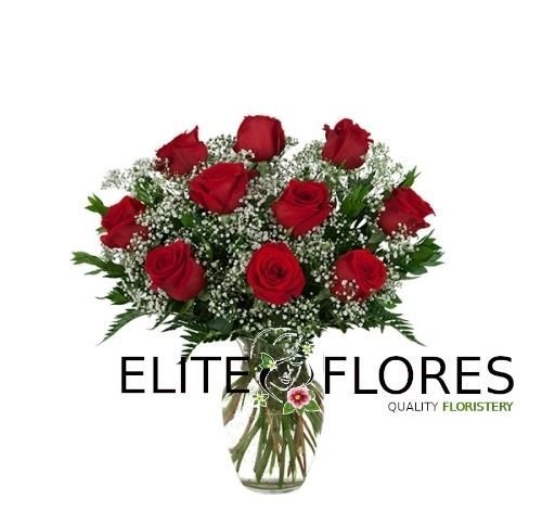 10 Rosa roja