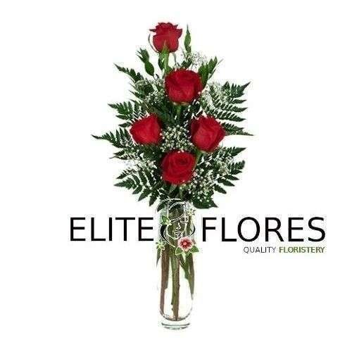 5 Rosa roja