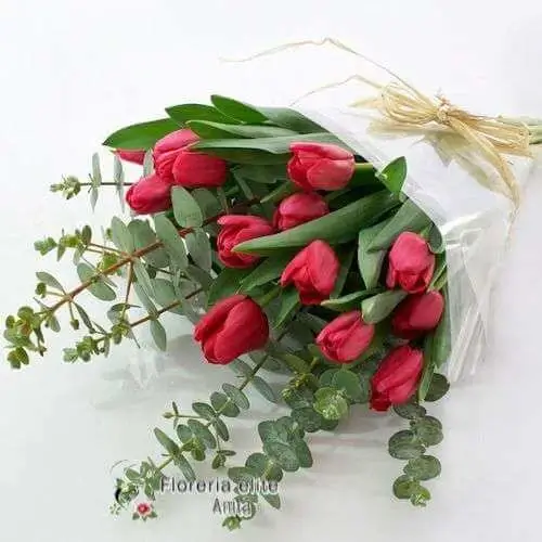 Ramo de tulipán
