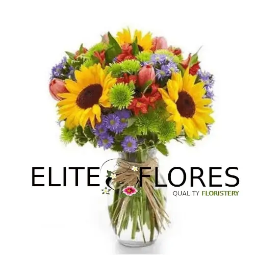 Armonía solar