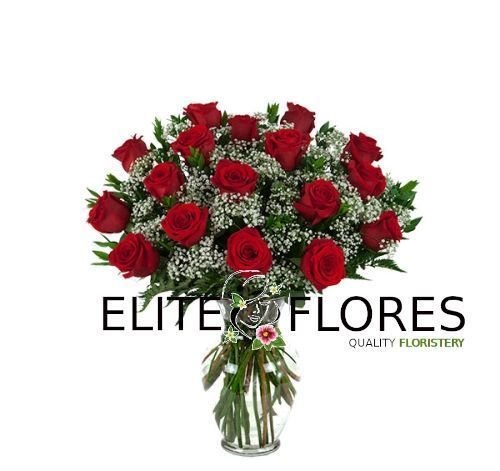 17 Rosa roja