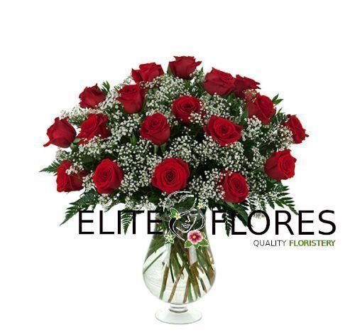 18 Rosa roja