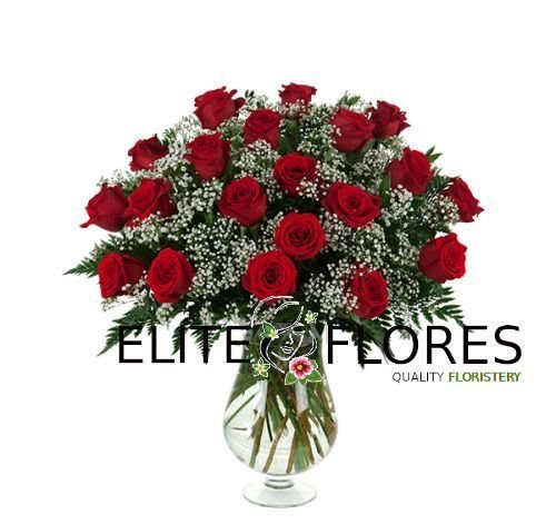 20 Rosa roja