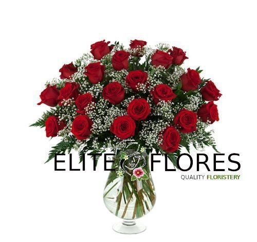 22 Rosa roja