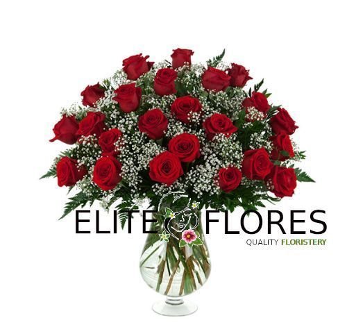 23 Rosa roja