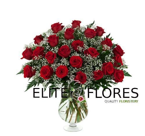 24 Rosa roja