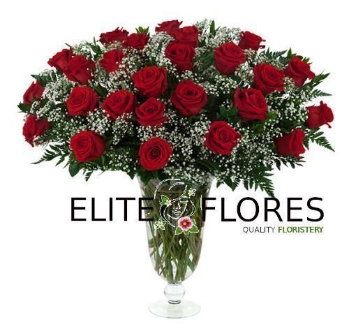 25 Rosa roja