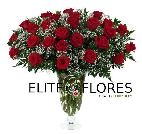 26 Rosa roja