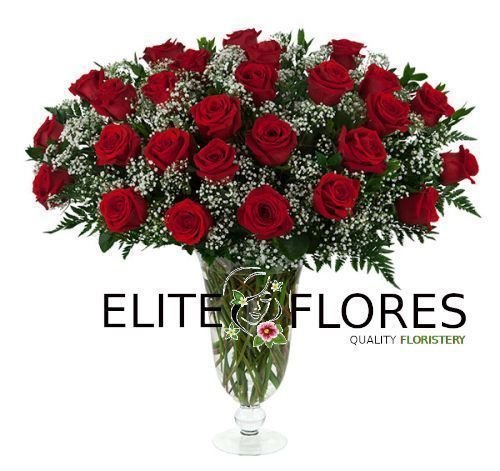 27 Rosa roja