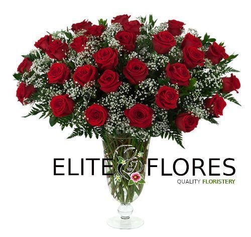 28 Rosa roja