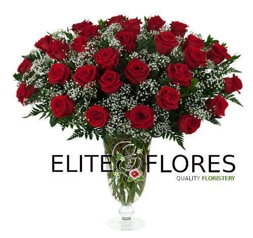 29 Rosa roja