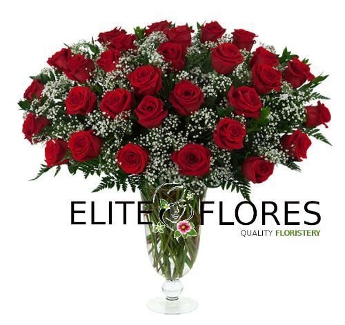 30 Rosa roja