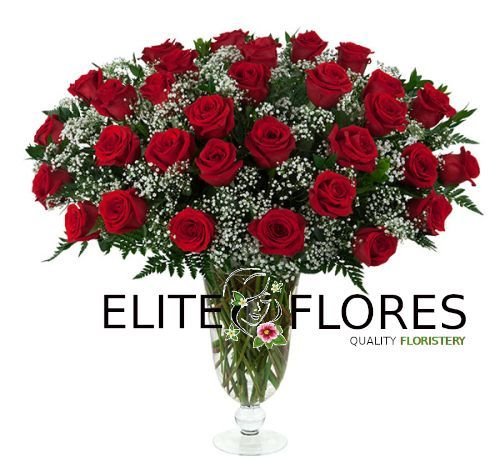 31 Rosa roja