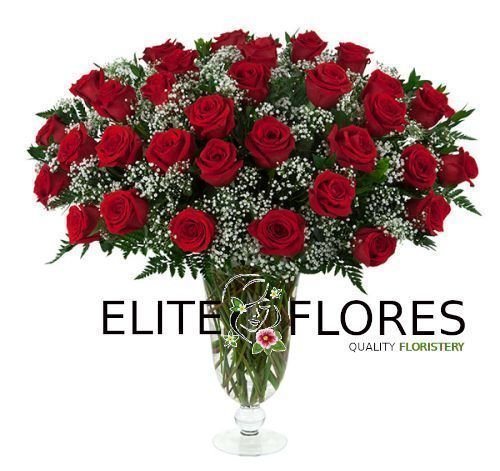 32 Rosa roja