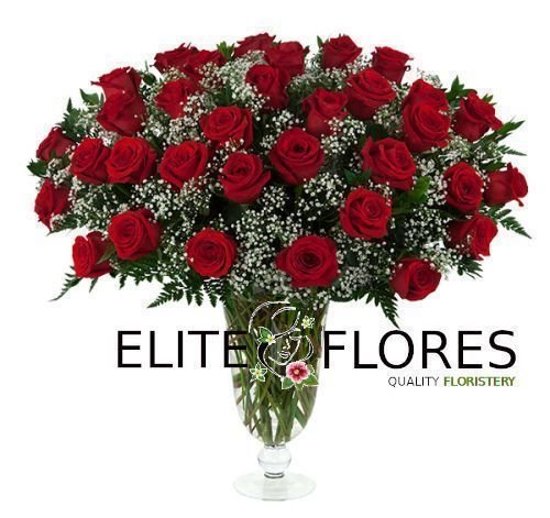 33 Rosa roja