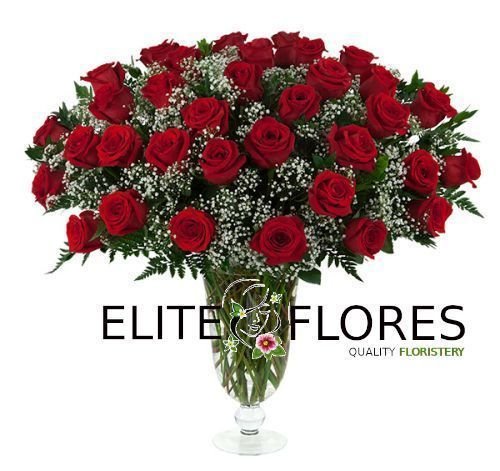 34 Rosa roja