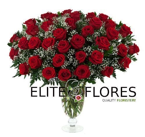 36 Rosa roja