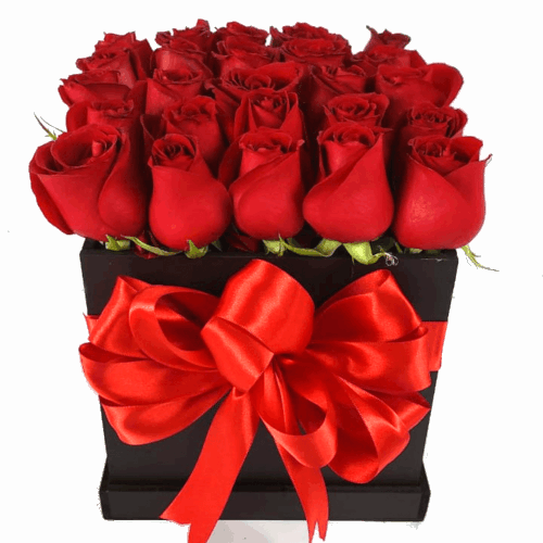 Caja con 24 rosas