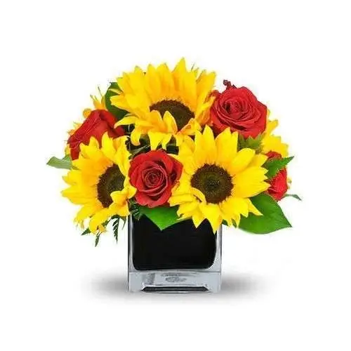 Girasoles Sonrisa