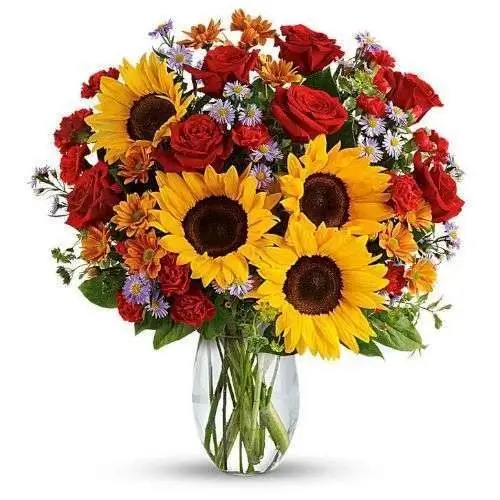Gold Rosa y Girasol
