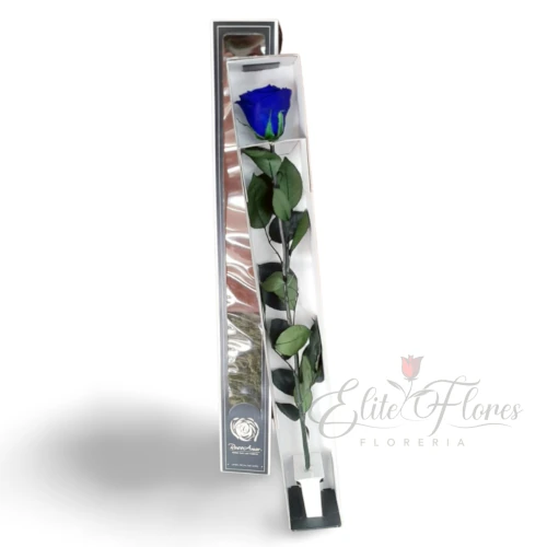 Rosa eterna azul - 2
