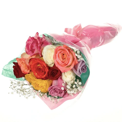12 ROSAS DE COLORES MIXTOS