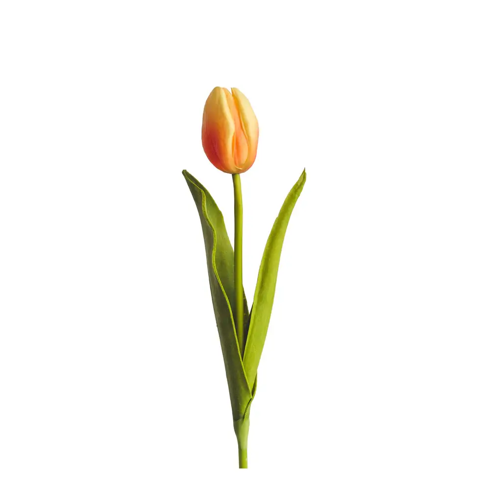 Florero Tulipan Damasco - 2