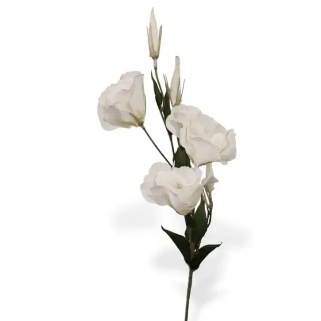 Cartera Pequeña Blanca de rosas y Gerberas - 4