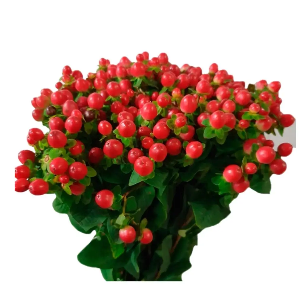 Carterita rosas jaspeadas - 3