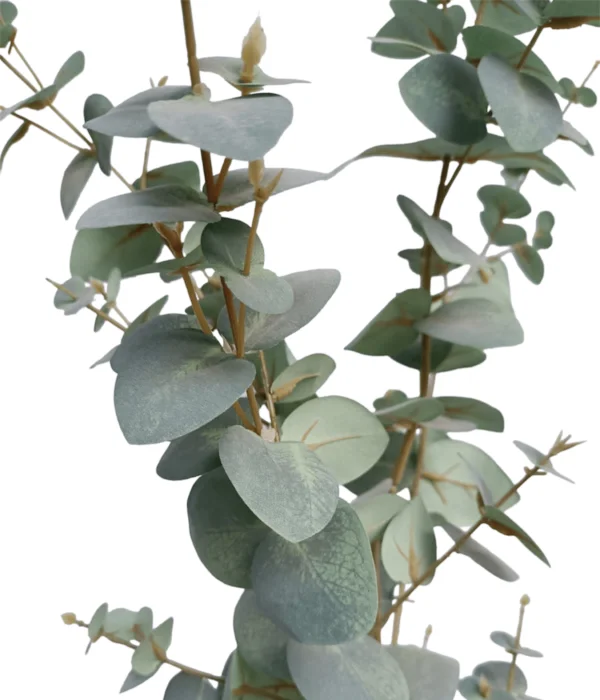 Caja de rosas con hypericum - 3