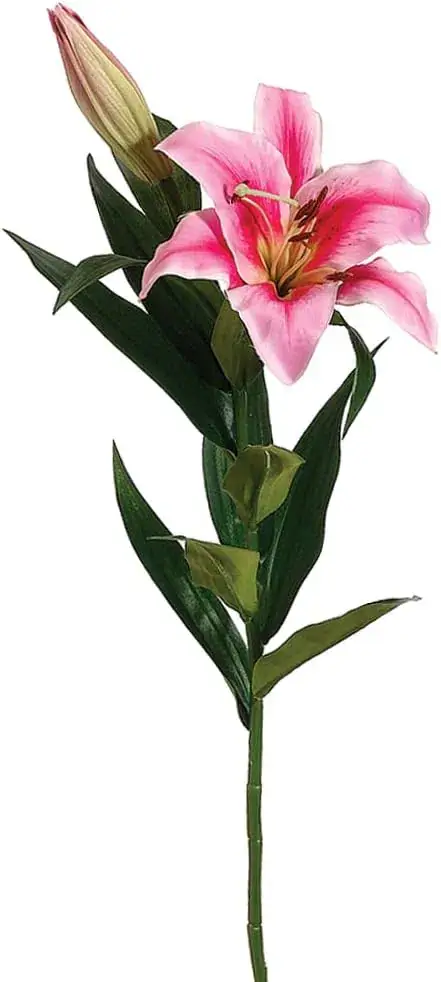 Florero Romance Amoroso - 2