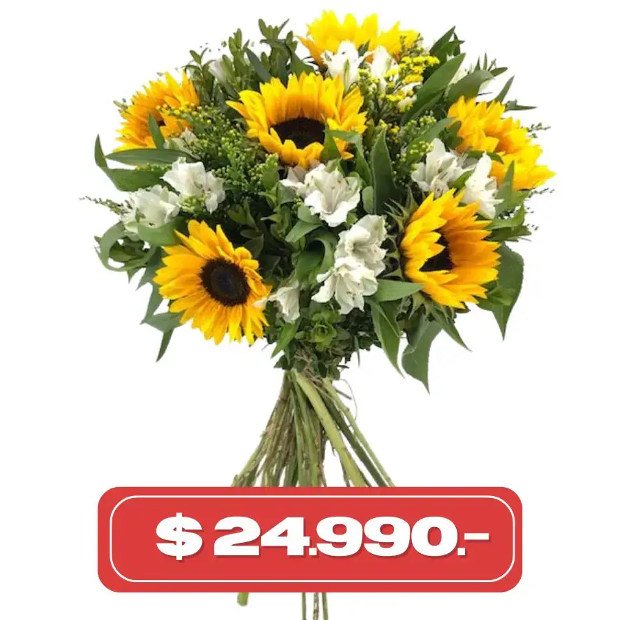 Plan Semanal Ramo de girasol y alstromelias