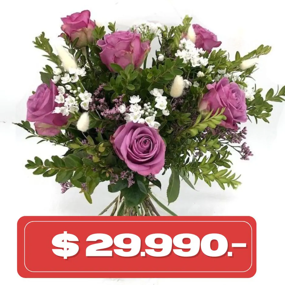 Plan Quincenal Ramo de 6 rosas Lilas