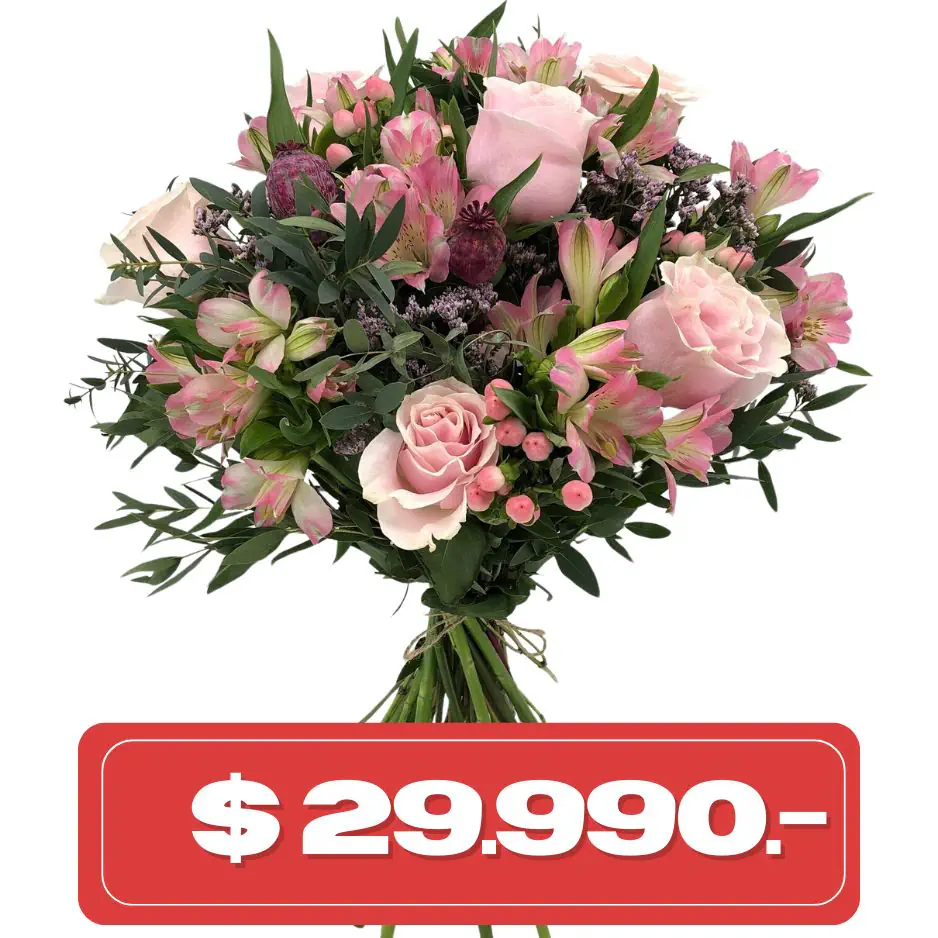 Plan Quincenal Ramo de 6 rosas rosadas y alstromelias