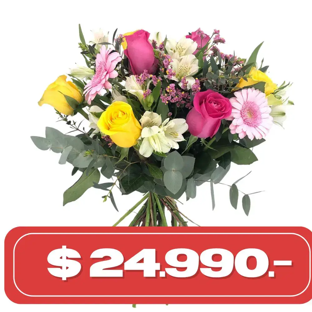 Plan Semanal Ramo de rosas gerberas y alstromelias