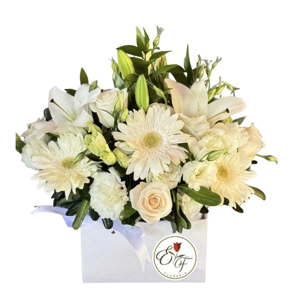 Cartera Pequeña Blanca de rosas y Gerberas