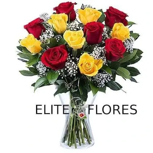 Rosas clásicas: Rosas Rojas y Amarillas