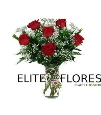 6 Rosa roja