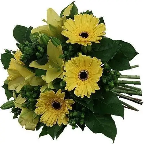 Ramo Amanecer glorioso