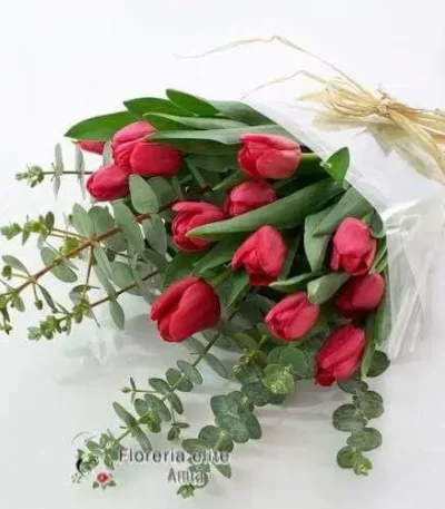 Ramo de tulipán