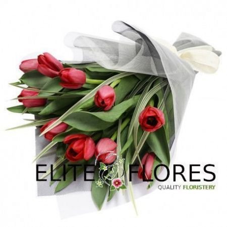 Ramo 10 tulipanes rojos