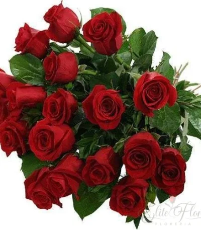 Ramo de 20 rosas