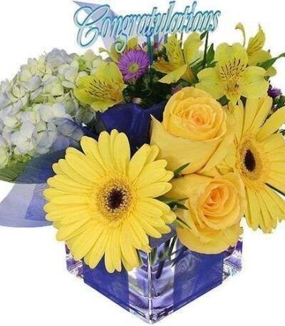 ¡Felicidades!