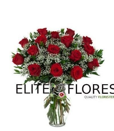 16 Rosa roja