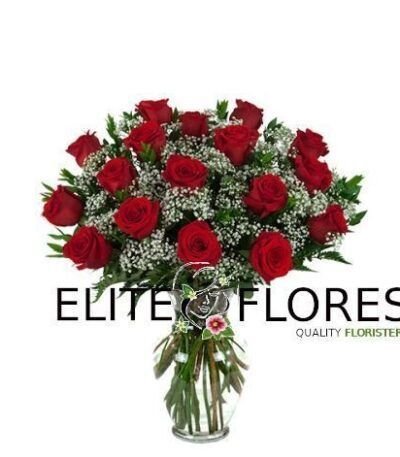 17 Rosa roja