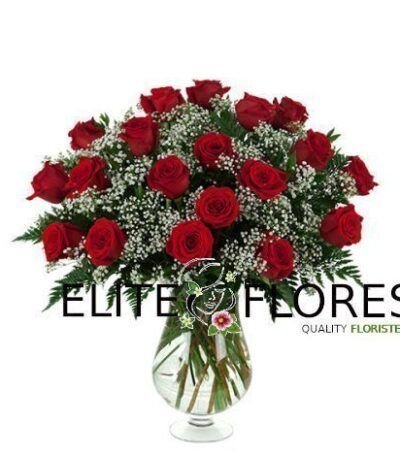 19 Rosa roja